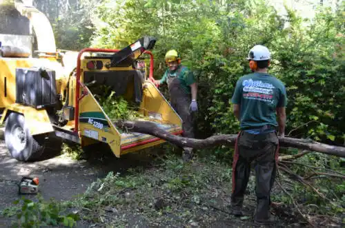 tree services La Porte City